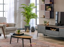 Alfemo Yaşam Ünitesi Harvey Modeli ve Fiyatları